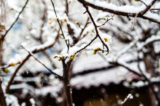 尤爾根