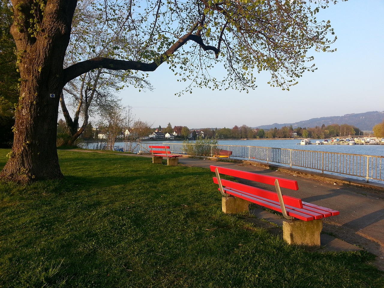 在近期的一 在近期的一