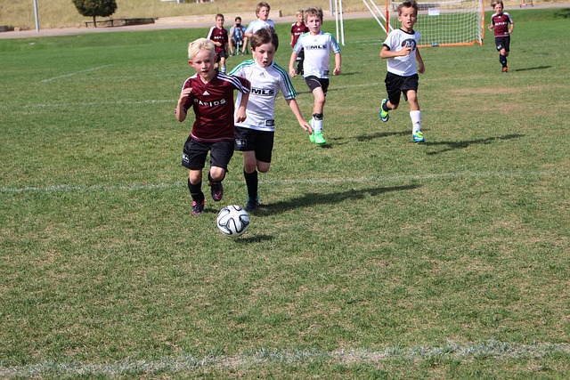 并让人们开 并让人们开