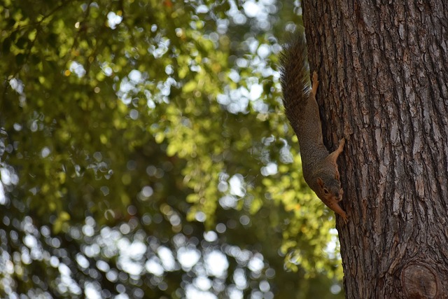 他选择积极 他选择积极